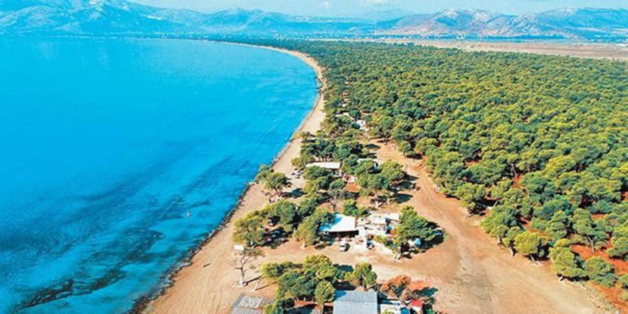 Villa House 200M From Sea Agios Andreas  Extérieur photo